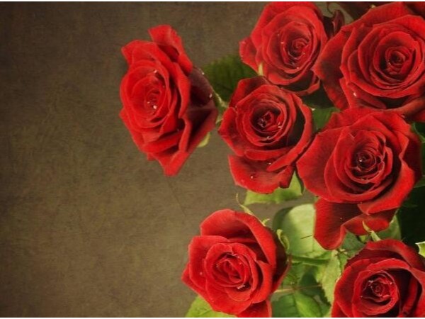 浪漫七夕，送花有些俗了，咱們不如送個指紋鎖