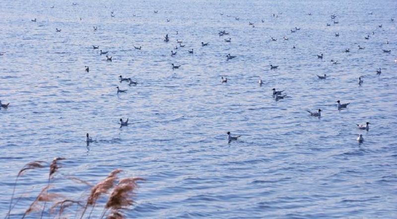 指紋鎖生產(chǎn)廠家 指紋鎖生產(chǎn)廠家