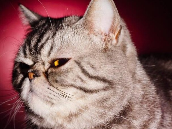 人家已經(jīng)用了一年多的指紋鎖了，而你還在質(zhì)疑它？