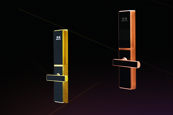 皇迪指紋鎖 皇迪指紋鎖