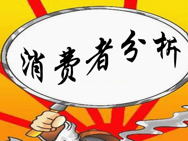 消費(fèi)者分析 消費(fèi)者分析