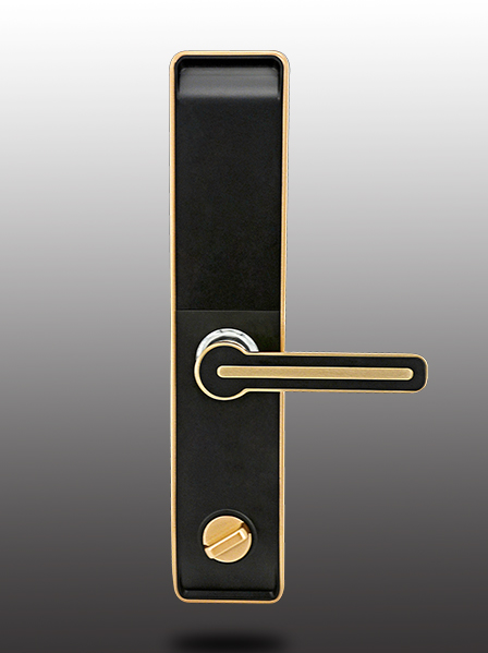 皇迪A4背面 皇迪A4背面