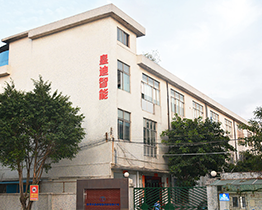皇迪智能鎖廠家 皇迪智能鎖廠家