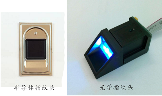 指紋頭 指紋頭