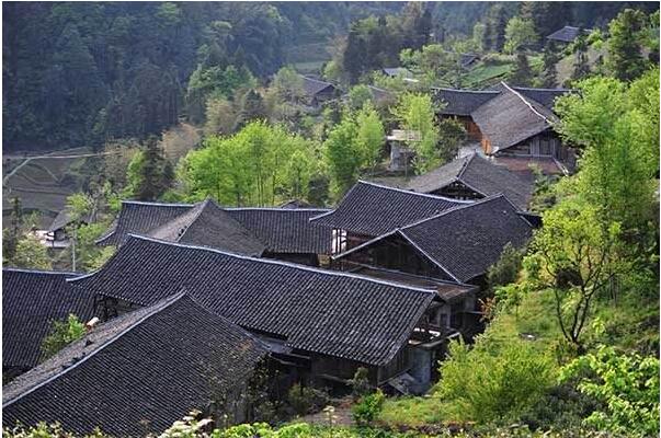 指紋鎖廠家 指紋鎖廠家